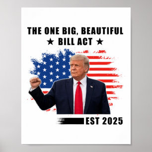 Póster La Ley de la Gran Factura Hermosa Trump 2025