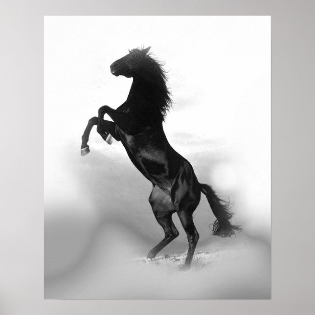 Póster La libertad del caballo blanco negro que cría (Frente)