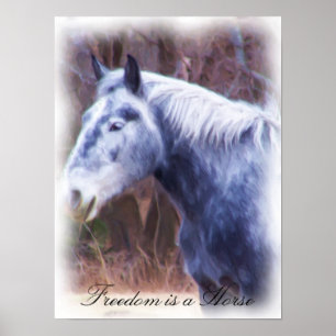 Póster La libertad es un caballo