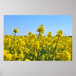 Póster La línea del horizonte - Colores de la naturaleza