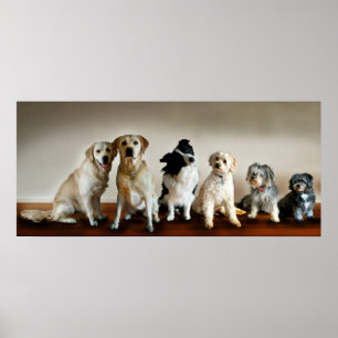 Póster La línea hacia arriba