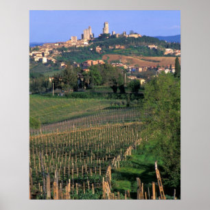 Póster La localidad de San Gimignano está situada en el c