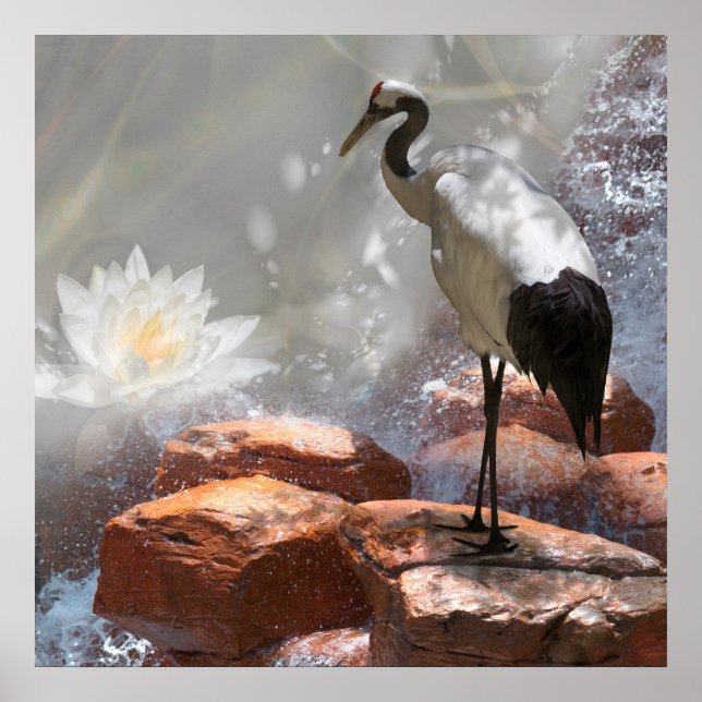 Póster La "longevidad" de la grúa japonesa (Frente)