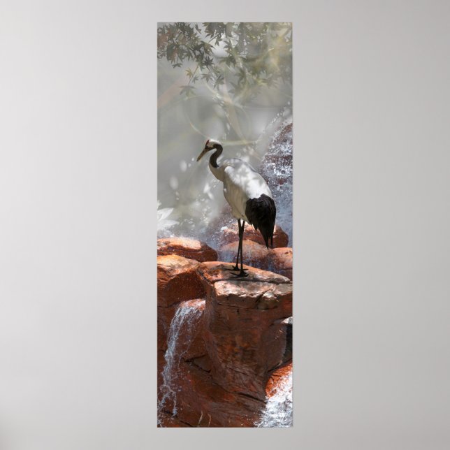 Póster La "longevidad" de la grúa japonesa (Frente)