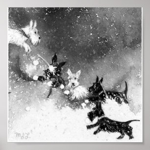 Póster La lucha por la nieve en Escocia