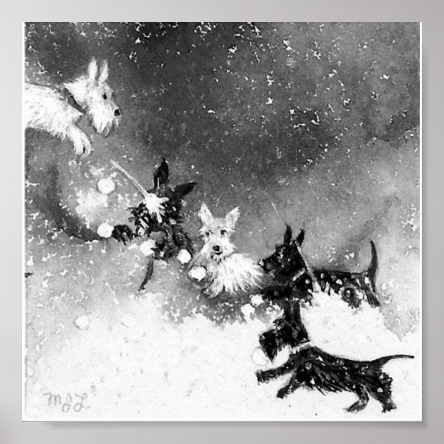 Póster La lucha por la nieve en Escocia (Frente)