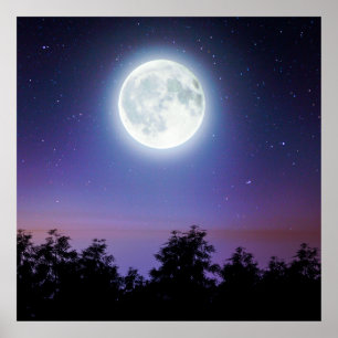 Póster la luna sobre el bosque