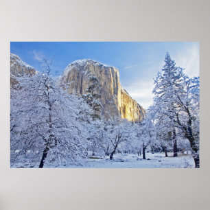 Póster La luz del amanecer golpea El Capitan a través de
