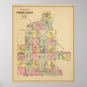 Póster La madera aterriza el atlas 2