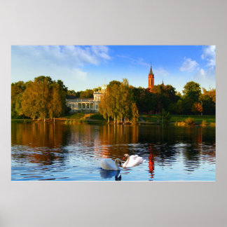 Póster La magia del lago Swan