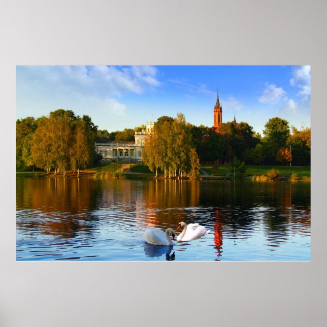 Póster La magia del lago Swan (Frente)