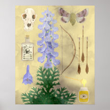 La maldición de Wolf