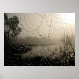 Póster La mañana de la araña