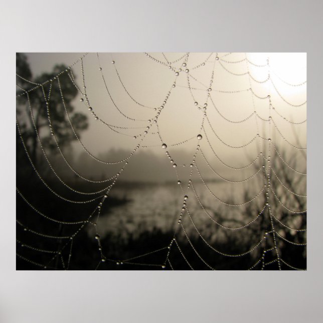Póster La mañana de la araña (Frente)