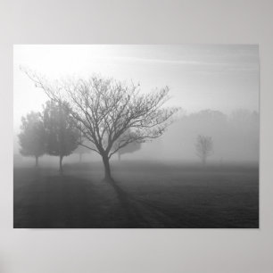 Póster La mañana nublada en el Poster Ozarks