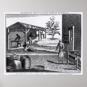 Póster La manufactura del tabaco en diversas ramas