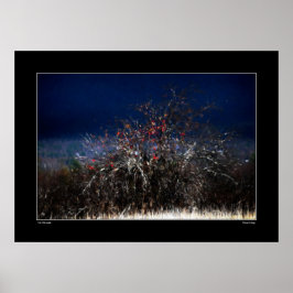 Póster La manzana salvaje