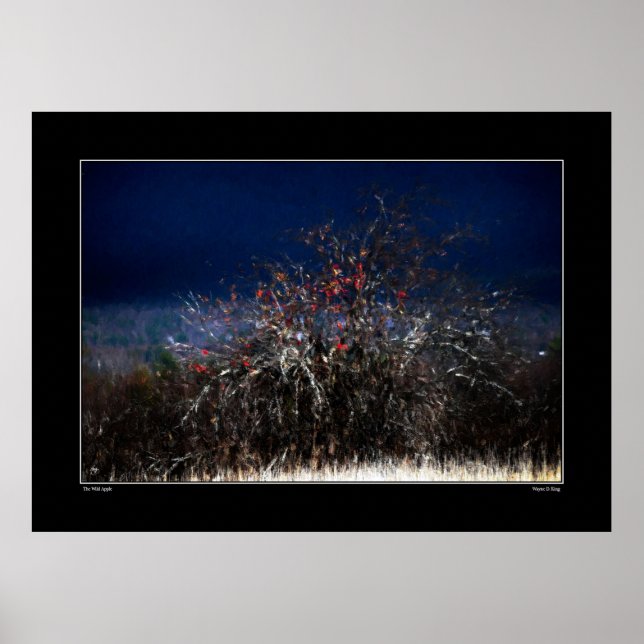 Póster La manzana salvaje (Frente)