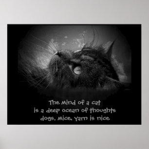 Póster La mente de un haiku gato