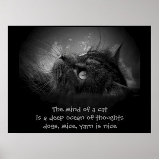 Póster La mente de un haiku gato