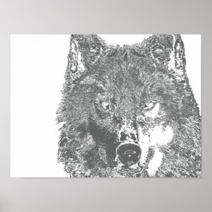Póster La mirada de Wolf