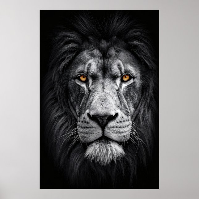 Póster La Mirada del Rey (Frente)