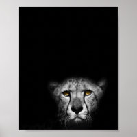 La mirada, el leopardo, la fotografía en blanco y 