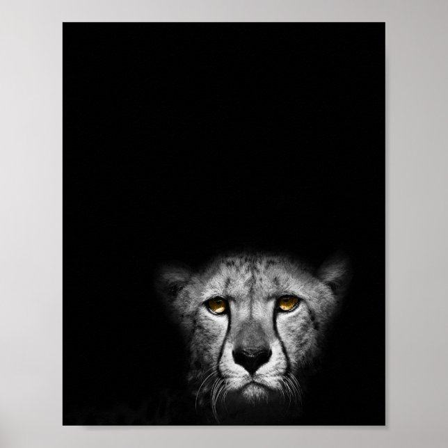 Póster La mirada, el leopardo, la fotografía en blanco y  (Frente)