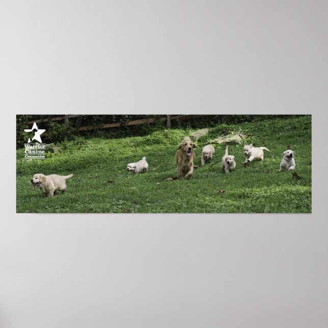 Póster La mitad de la docena de ropas de Holly (Frente)