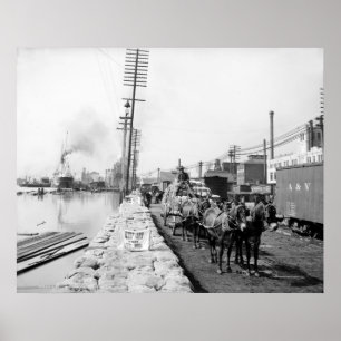 Póster La mula combina en el dique, New Orleans: 1903