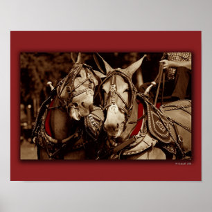 Póster La mula habla