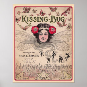 Póster La música ragtime de Kissing Bug 1909