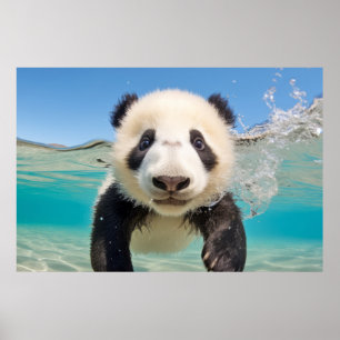 Póster La naturaleza de la diversión animal de Panda juga