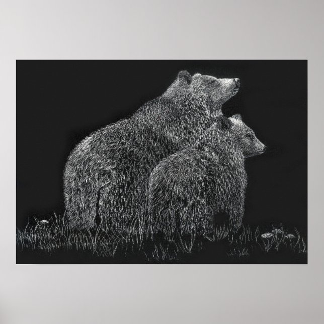Póster La naturaleza de la vida salvaje de los osos dibuj (Frente)
