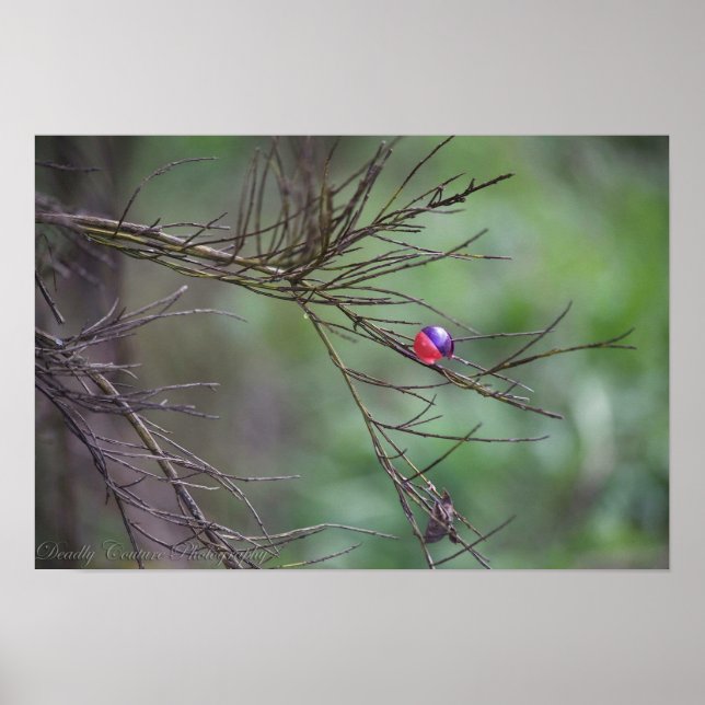 Póster La Naturaleza Del Paintball (Frente)