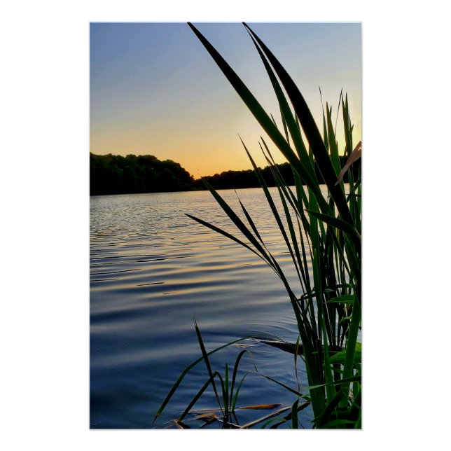 Póster La naturaleza en su mejor momento (Anverso)