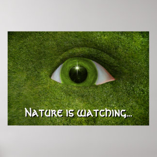 Póster La naturaleza está mirando...