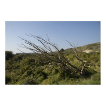 La naturaleza está sola a veces