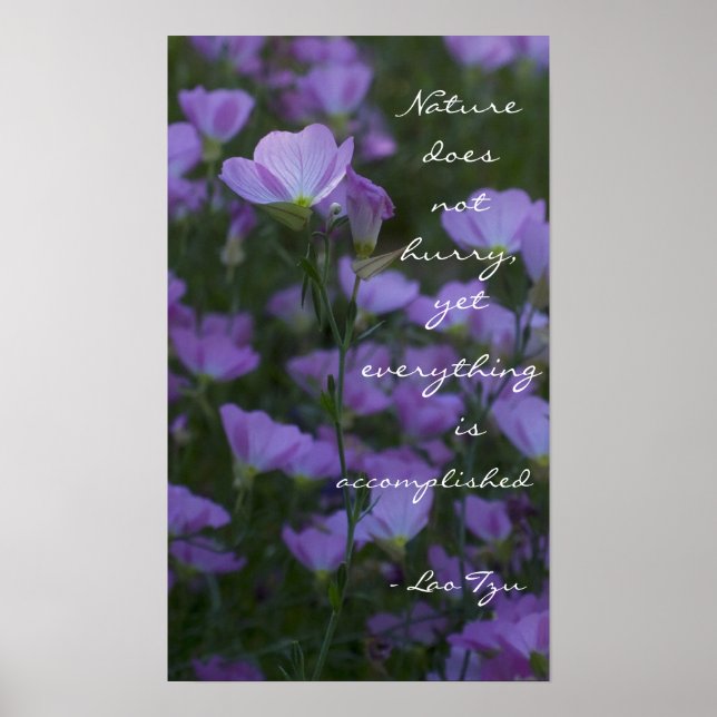 Póster "La naturaleza no se apresura" (Frente)