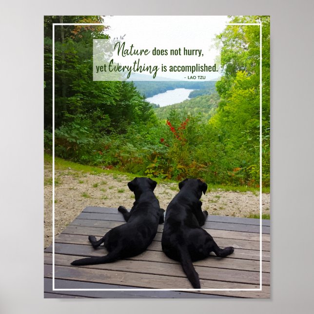 Póster La Naturaleza no se apresura - Cita Inspiradora de (Frente)