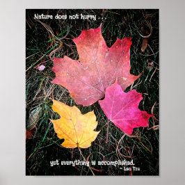 Póster La naturaleza no se apresura, todo se logra.