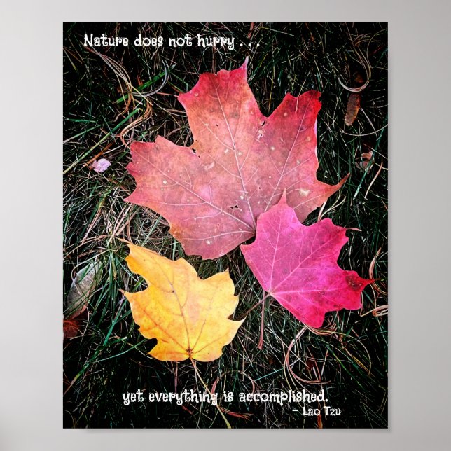 Póster La naturaleza no se apresura, todo se logra. (Frente)