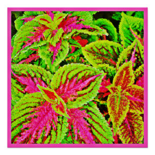 Póster La naturaleza vibrante deja el patrón