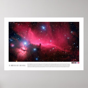 Póster La nebulosa Cabeza de Caballo y Llama (Barnard 33)