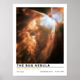 Póster La Nebulosa del Insecto Educación Espacial