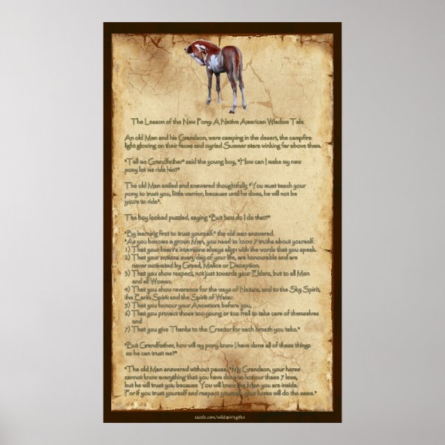 Póster La nueva lección de Pony: Poster de sabiduría nati (Frente)