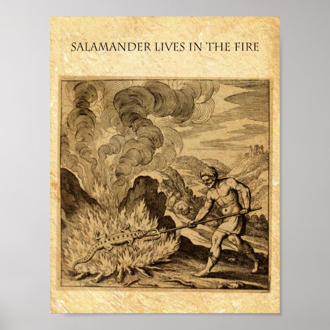 PÓSTER LA OCULTA SALAMANDANTE DE INCENDIO (Frente)