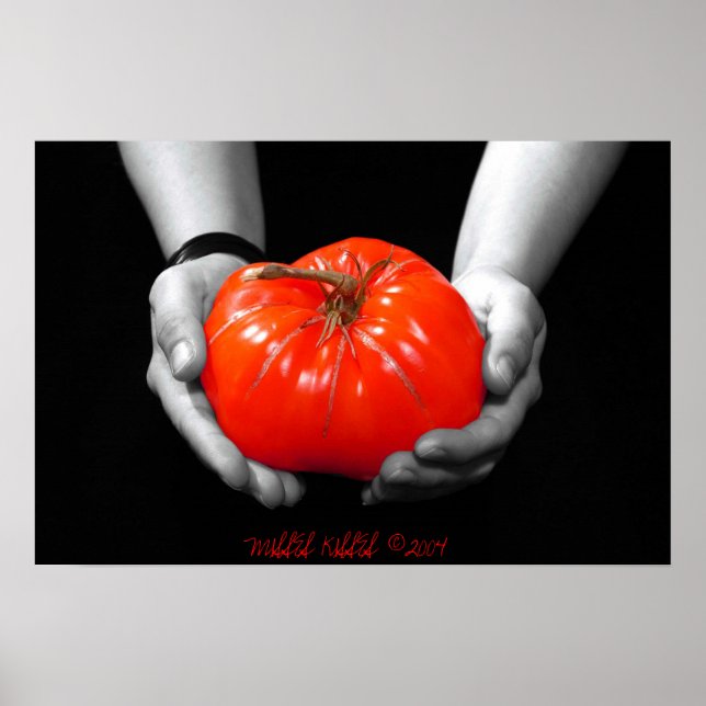 PÓSTER LA OFERTA EN ROJO (Frente)