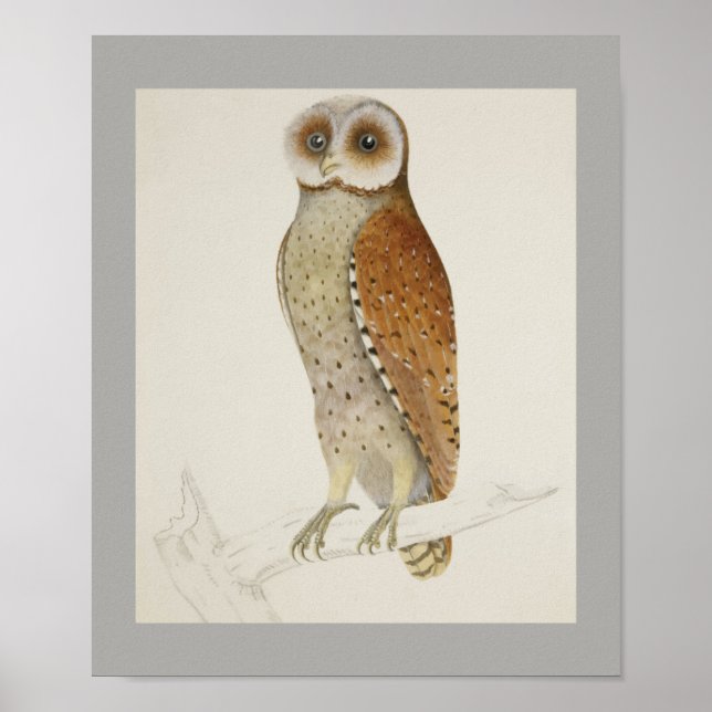 Póster La oficina de la Ave de la Paz en Owl Destiny (Frente)