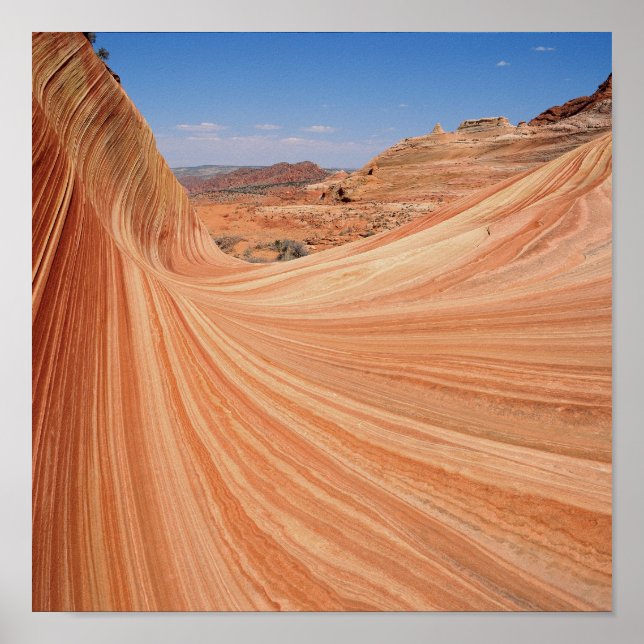 Póster la onda horizontal (Frente)